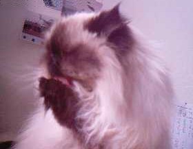Picture 05-01-23@16`00`47.jpg (12214 bytes)